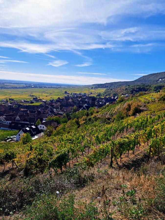 Gite Entre Vignes Et Vergers Maison Historique Gueberschwihr Exteriér fotografie